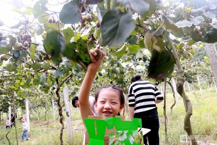 微信图片_20171008160524.jpg