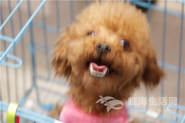 IMG_2530.jpg IMG_2530.jpg