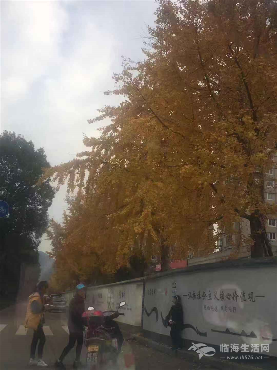 微信图片_201812221701383.jpg 微信图片_201812221701383.jpg